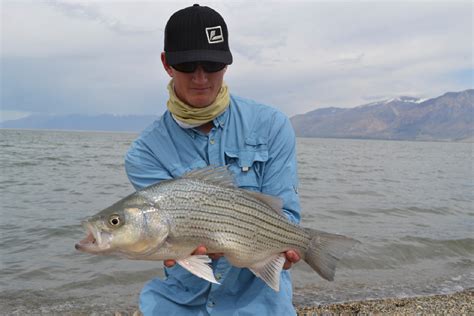 THE BEST 10 Fishing in SALT LAKE CITY, UT .